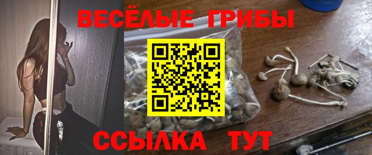 Псилоцибиновые грибы Cubensis  Галлюциногенные грибы Psilocybe  Вход с VPN  Азнакаево 