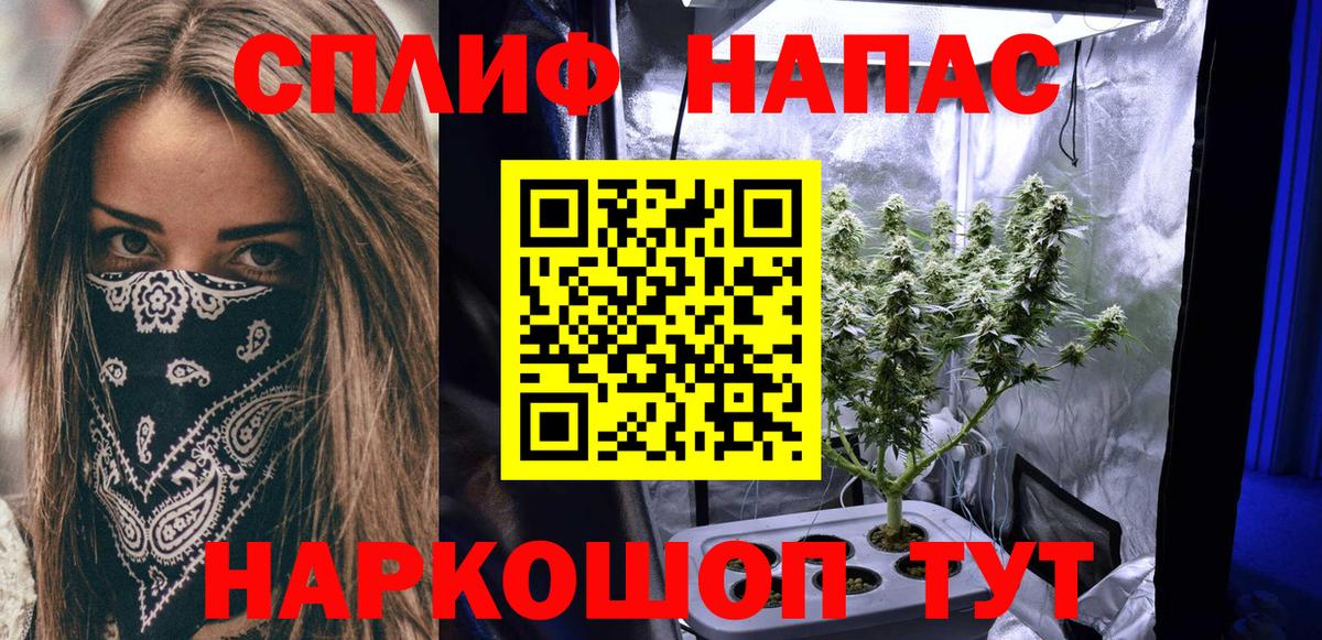 Марихуана Bruce Banner  МАРИХУАНА сатива  Азнакаево  Вход с VPN  Бошки марихуана марихуана 